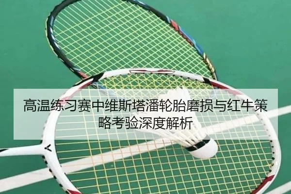 高温练习赛中维斯塔潘轮胎磨损与红牛策略考验深度解析